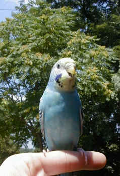 skyyeoutside2mo.jpg (126825 bytes)