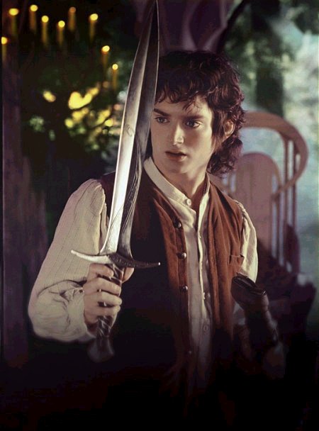 The Lord Of The Rings: The Fellowship Of The Ring