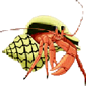 Hermit Crab