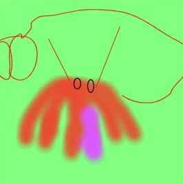 Hermy