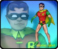 Robin 13