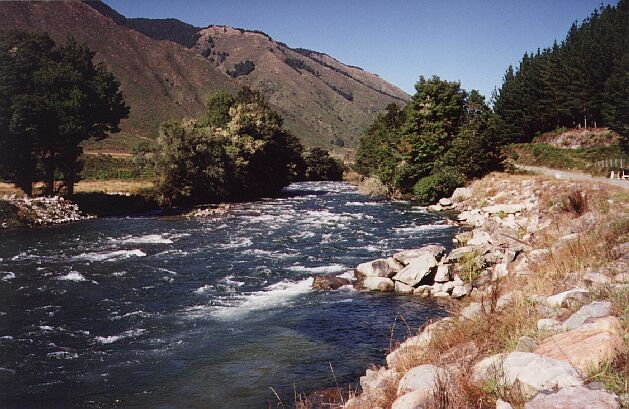nz15.jpg (77405 bytes)