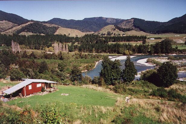nz17.jpg (78118 bytes)