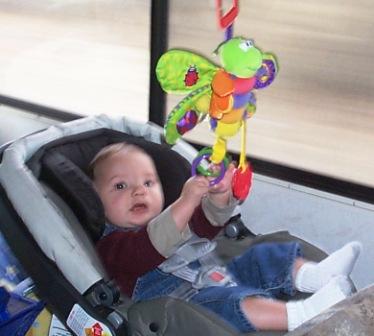 Not a bugs life, a baby's life...