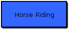 Horse Riding