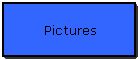Pictures