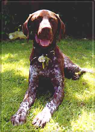 Jake 1 year old