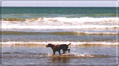 Brighton Beach Oct 99