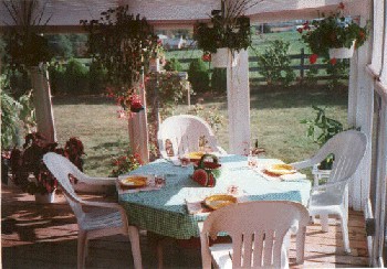 Screaned_in_porch1.jpg (39274 bytes)