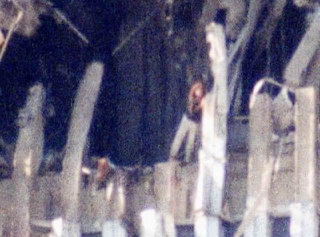 people standing in the hole proves the fire couldn't have been very hot at all.