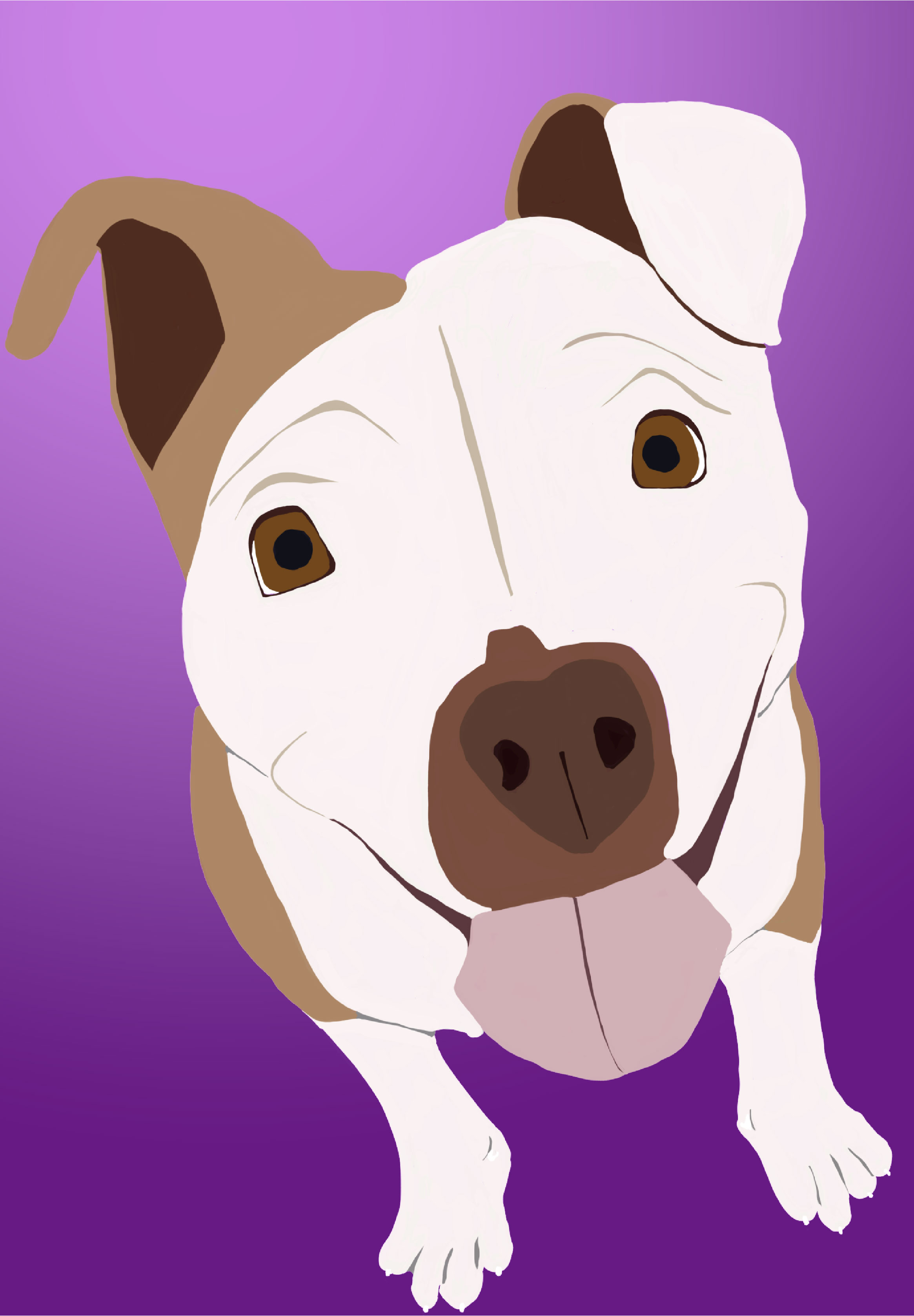 Illustrated Dog