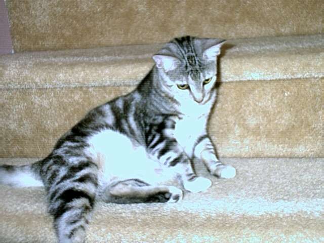 She is Nice and fat