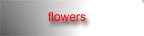 flowers.gif - 2550 Bytes
