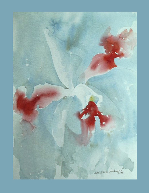 orchid3