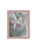 orchid1
