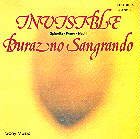 Invisible