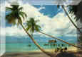 grafica........flash