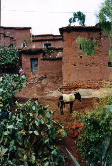 paesi nel deserto