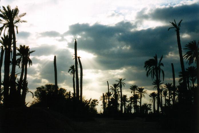 tramonto nel deserto di palme