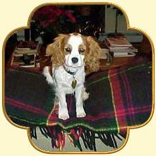Loranka's Chatelaine