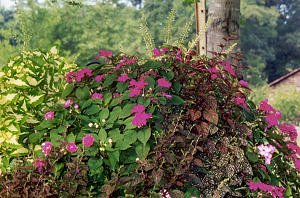 flower barrel