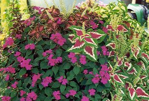 flower barrel