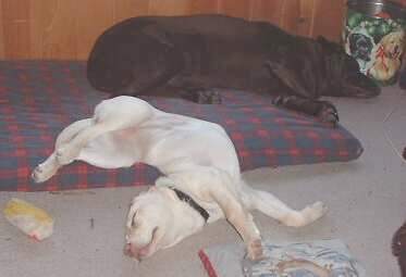 time for a nap