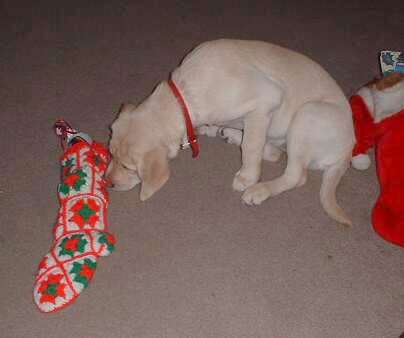 A good smelling stocking!