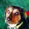 Beeper