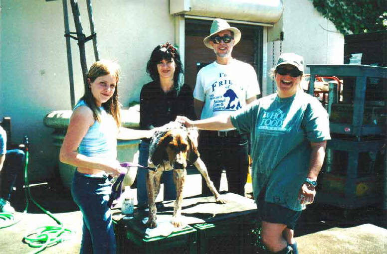 at our spring dogwash at Whole Foods Market in San Francisco