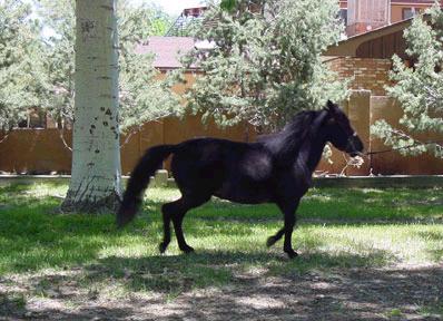 Lessley's T Renee