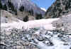 glacier.jpg (58867 bytes)