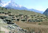 houses.jpg (52814 bytes)
