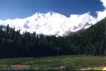 fm_FairyMeadows2.jpg (57380 bytes)