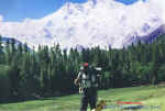 fm_FairyMeadows_2tango.jpg (62416 bytes)