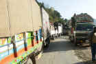 trucks2.jpg (129308 bytes)