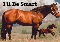 I'll Be Smart