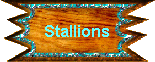 Stallions