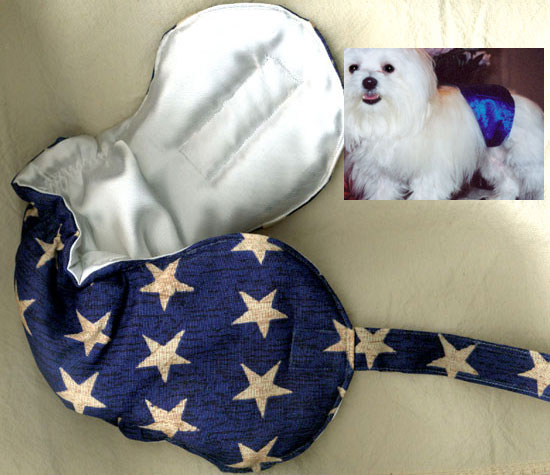 male dog diaper
