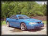 blue mustang.JPG (9354 bytes)