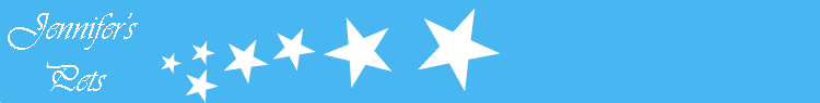 stars