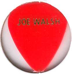 Joe Walsh 'Vote For Me' pick. Front