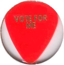 Joe Walsh 'Vote For Me' pick-Back