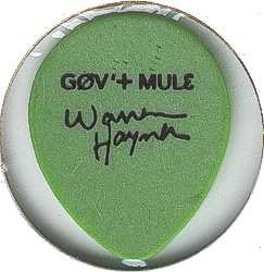 Warren Haynes pick-Front