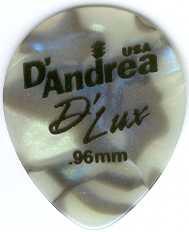 Warren Haynes pick-Back