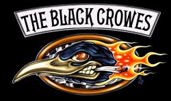 Click here to see my Black Crowes picks.