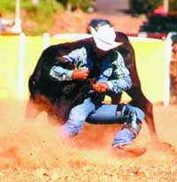 Bulldogging