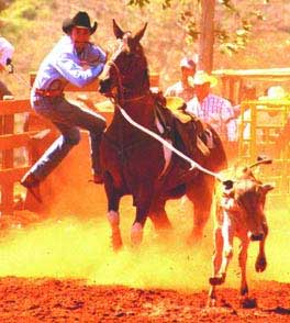 Calf Roping