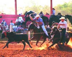 Team Roping