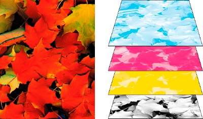 composite